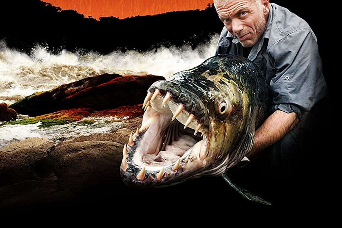 20 Best Fishing Shows and Where to Stream Them 20 Best Fishing Shows