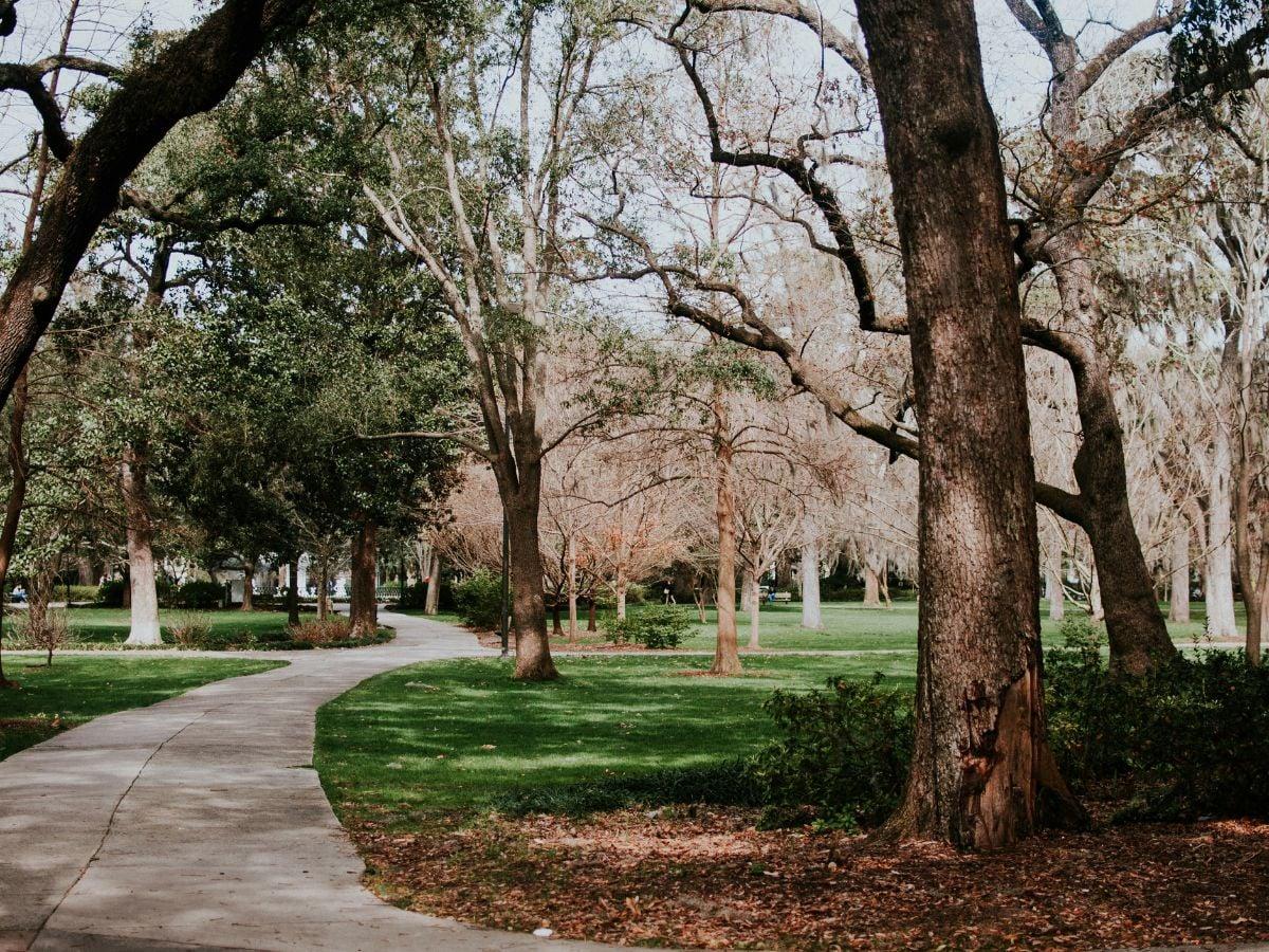 6 Enchanting Movies Filmed in Savannah 9 Movies Filmed in Savannah GA, Unsplash