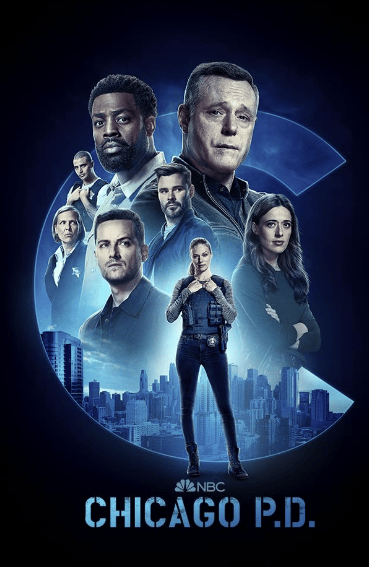 20 Amazing Shows Like Ncis