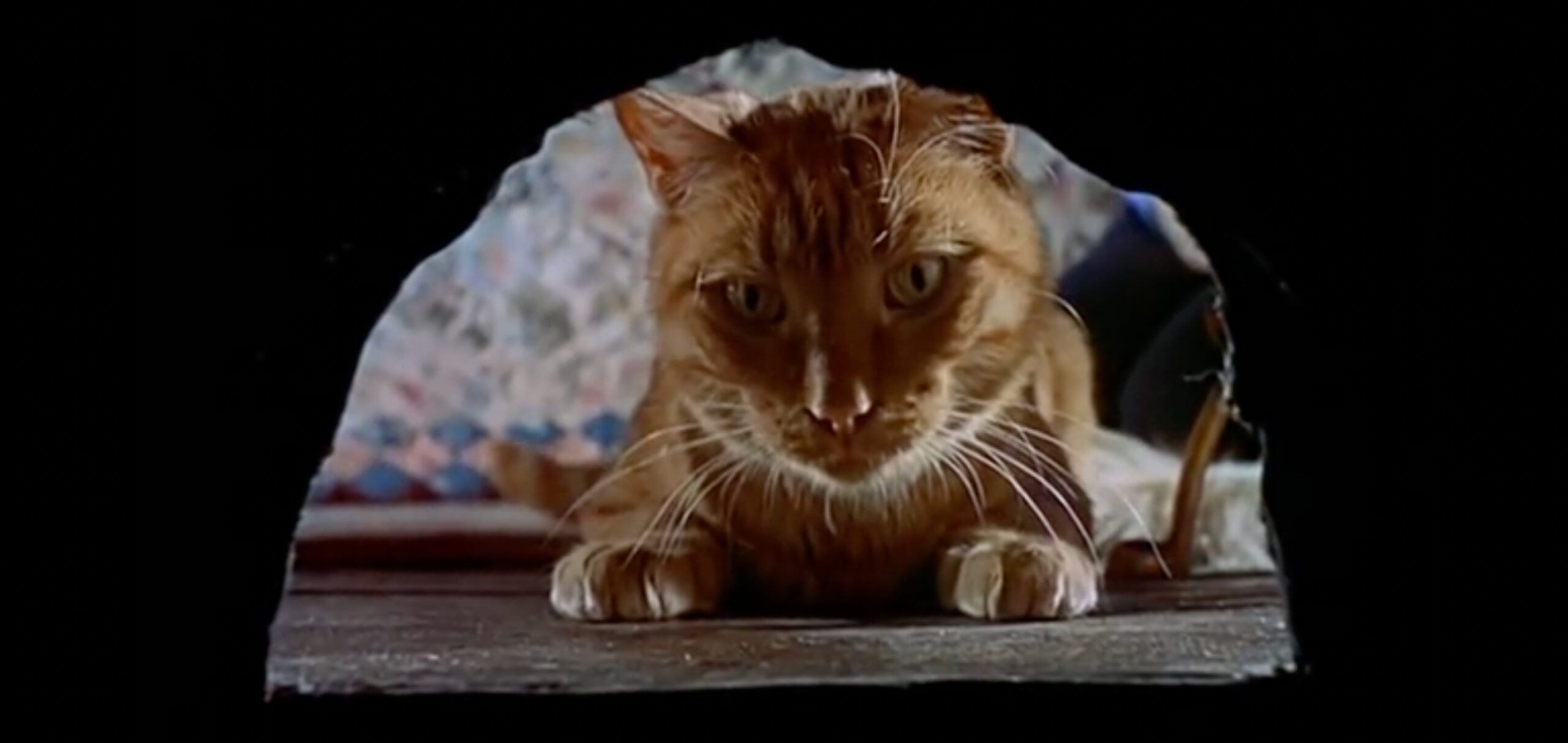 7 Most Underrated Disney Movies Ever Made