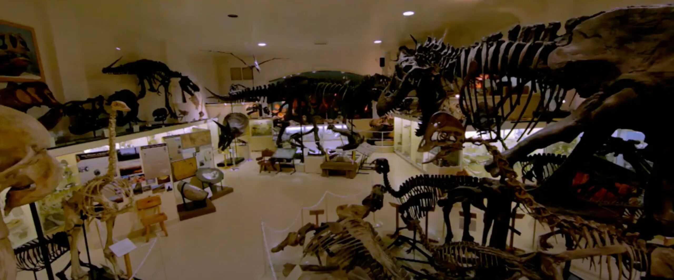 7 Best Dinosaur Documentaries Streaming
