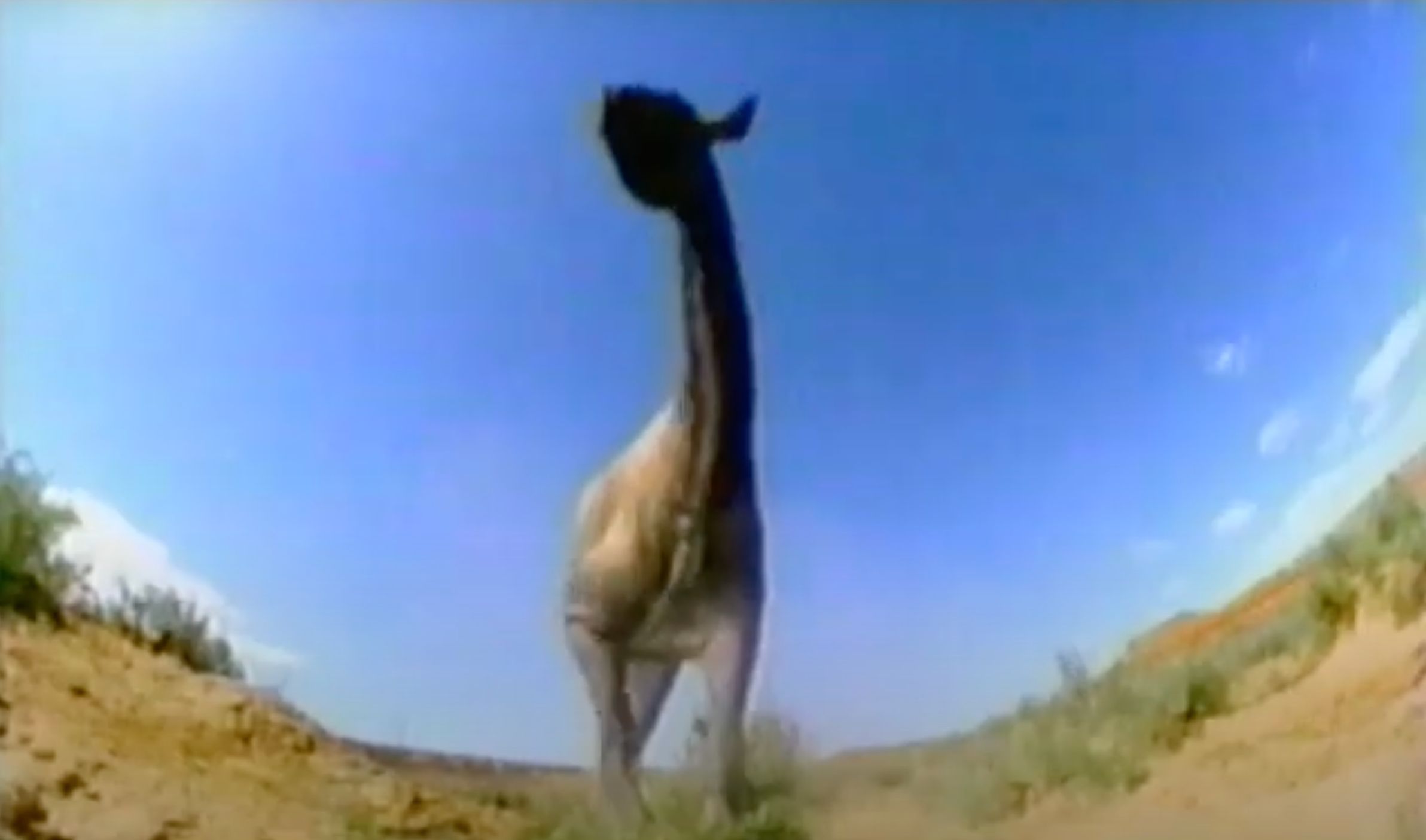 7 Best Dinosaur Documentaries Streaming