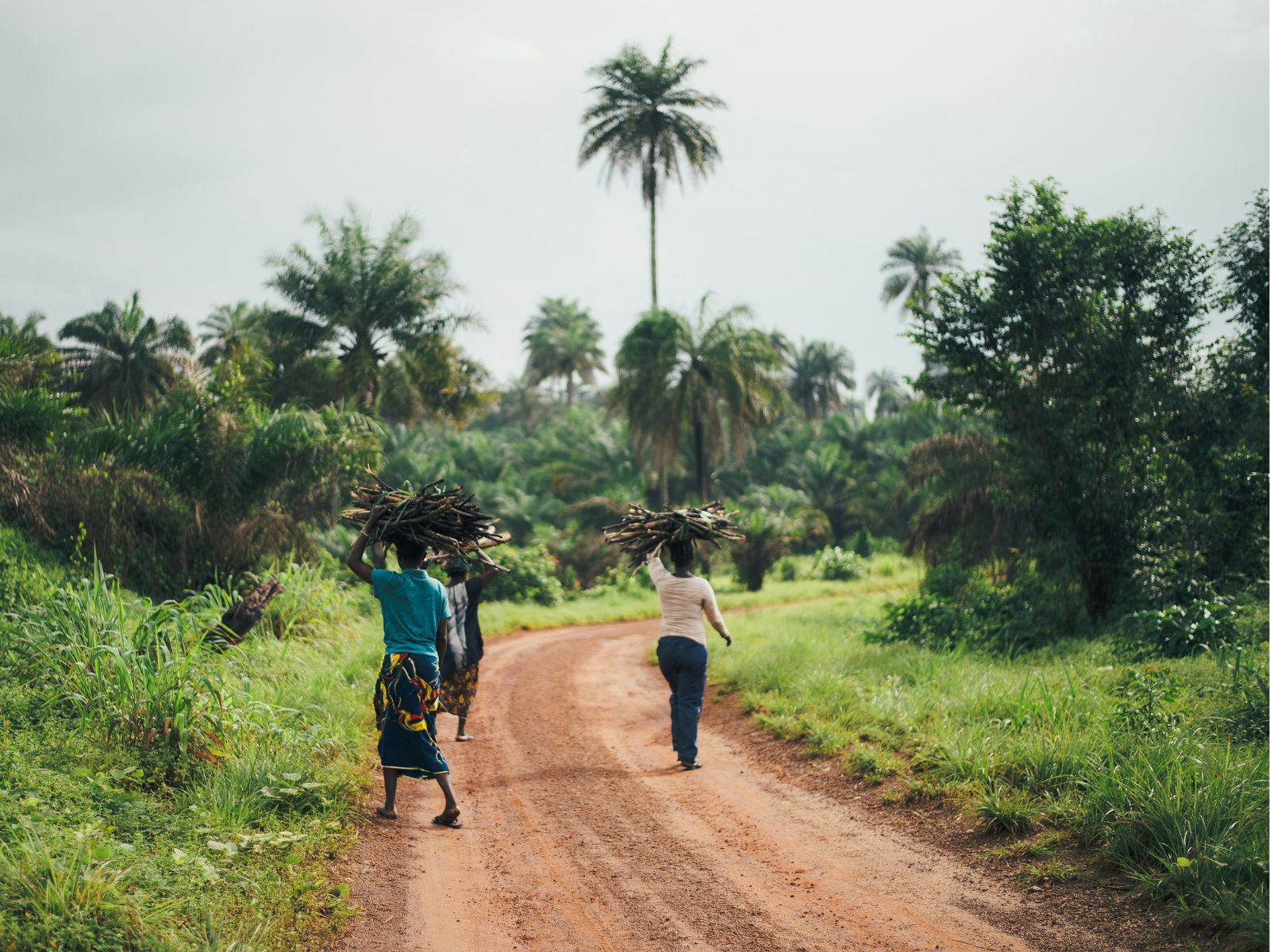 Best Movies Filmed in Africa, Unsplash