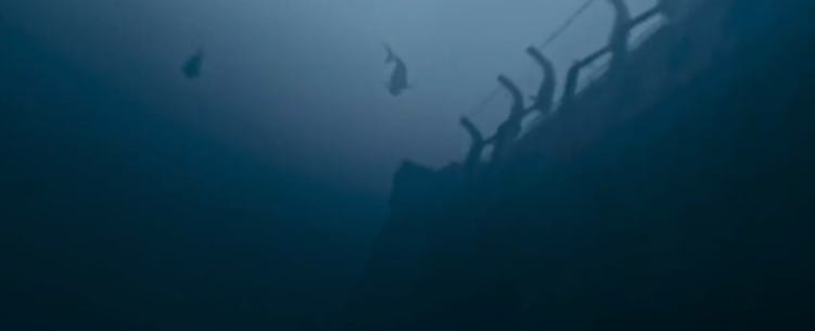 5 Best Shark Movies On Netflix