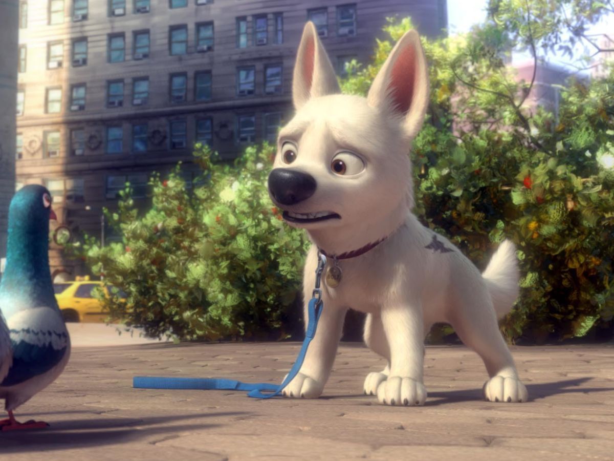 6 Best Movies About Dogs 4 Bolt, Walt Disney Studios Motion Pictures
