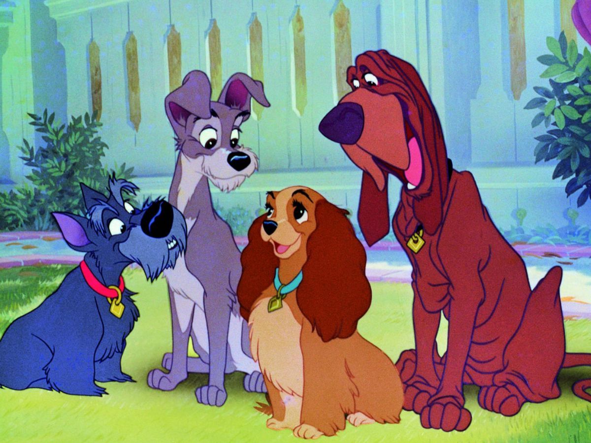 6 Best Movies About Dogs 6 Lady And The Tramp, Walt Disney Studios Motion Pictures