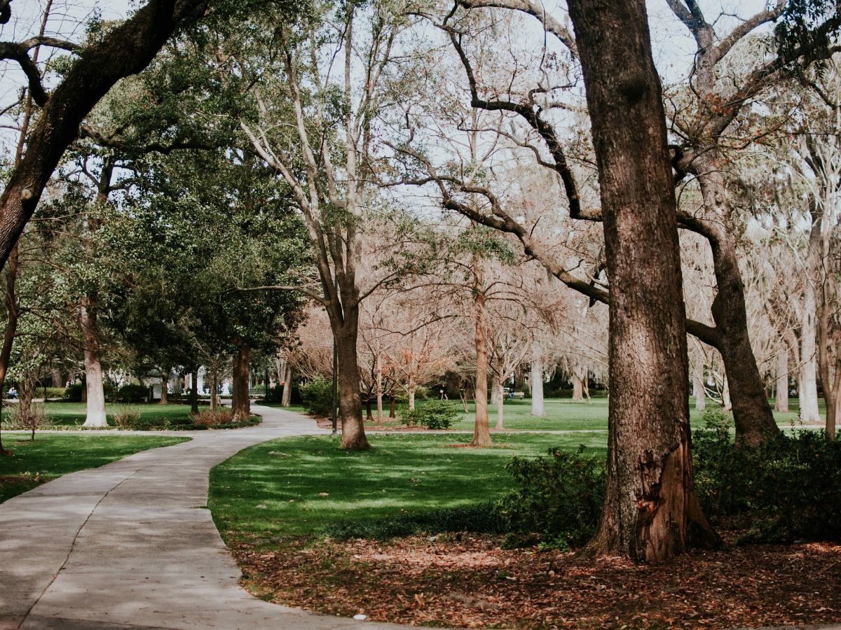 Movies Filmed in Savannah GA, Unsplash