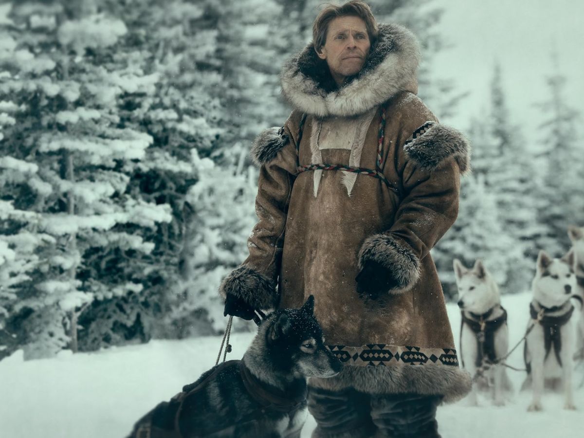 6 Best Movies About Dogs 3 Togo, Walt Disney Studios Motion Pictures