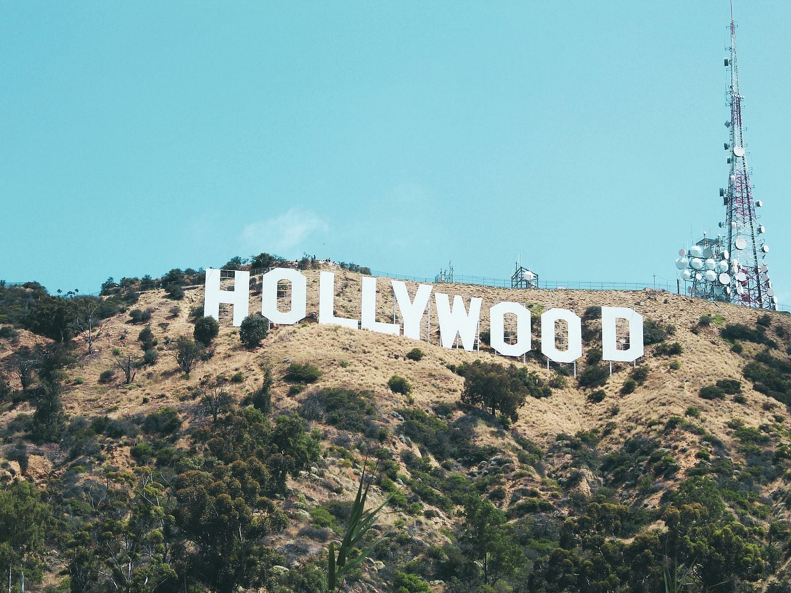 Best Movies That Take Place in LA, Unsplash