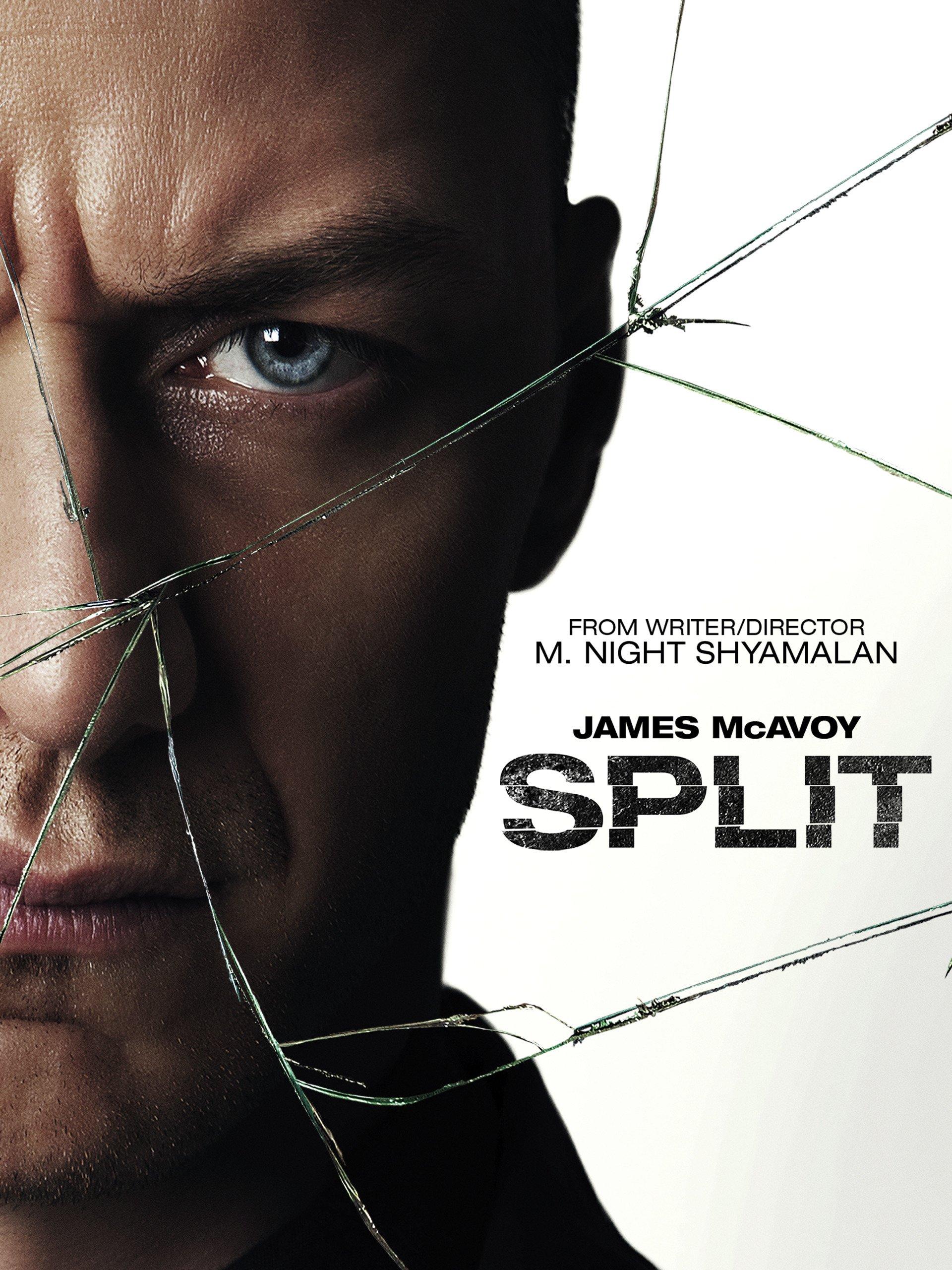 20 Best Movies About Kidnapping And Where To Stream Them 14 Split Movie Poster
