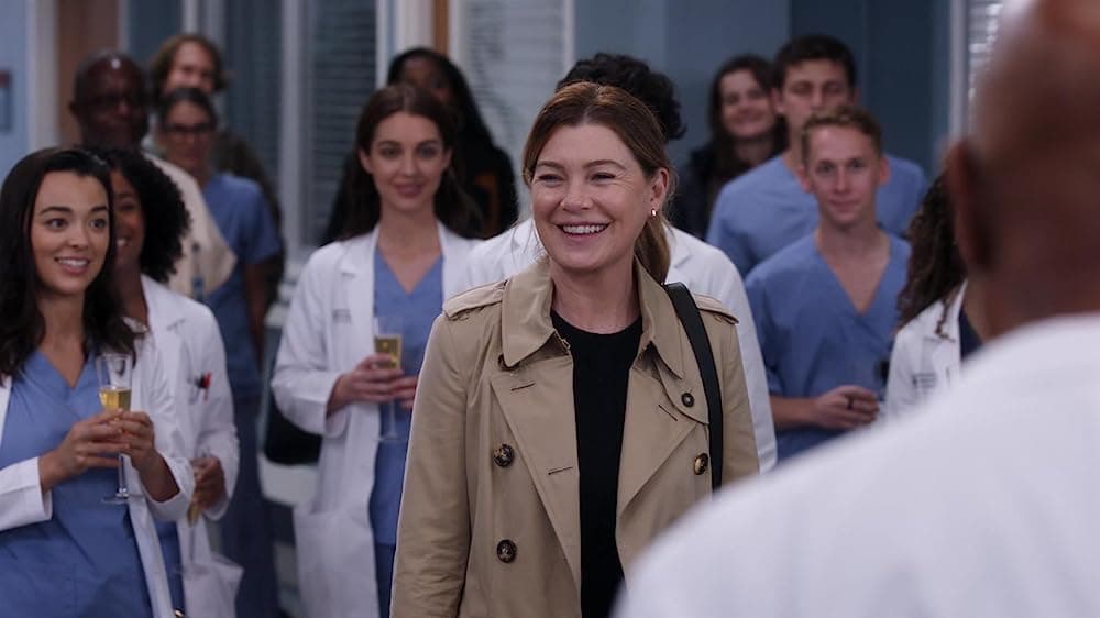 Why Has Greys Anatomy Lasted For So Long? 19 Gripping Seasons Later 5 Why Has Greys Anatomy Lasted