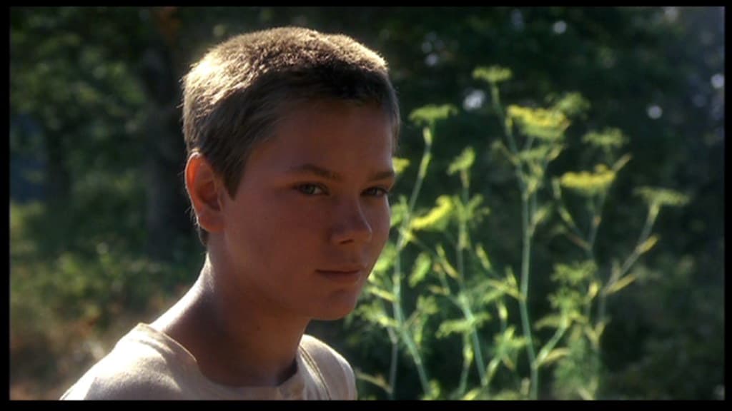12 Movies That Feel Like Summer
