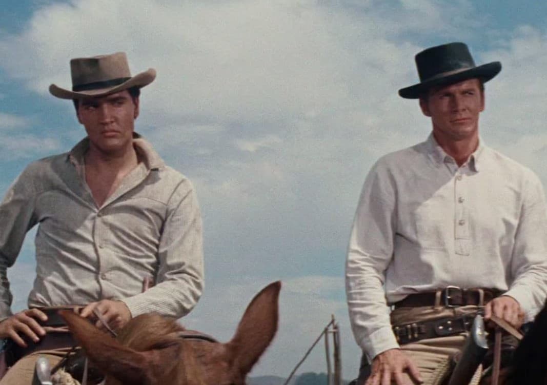 23 Best Elvis Movies And Where To Watch Them 21 Flaming Star, 20Th Century Fox