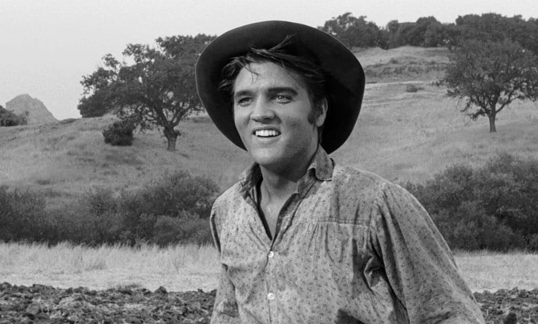 23 Best Elvis Movies And Where To Watch Them 25 Love Me Tender, 20Th Century Fox