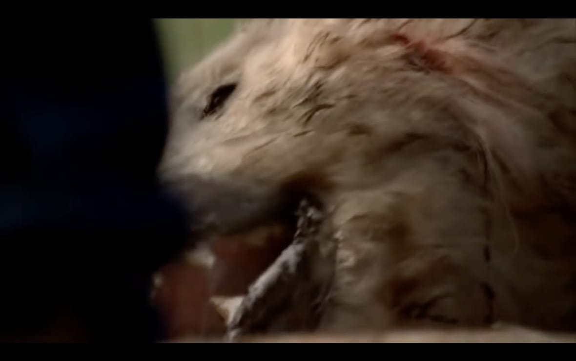weirdest movie scenes