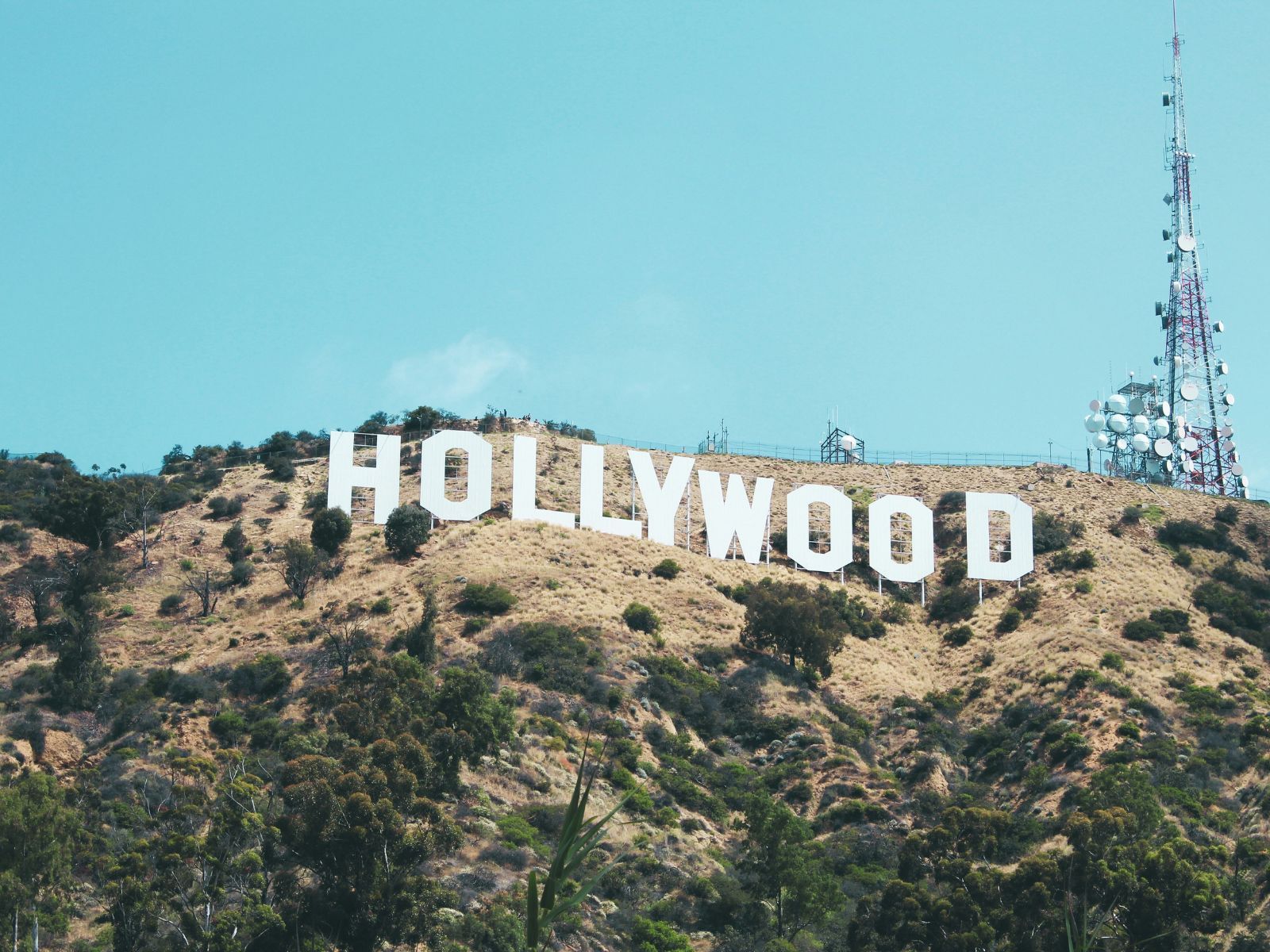 Best Movies That Take Place in LA, Unsplash