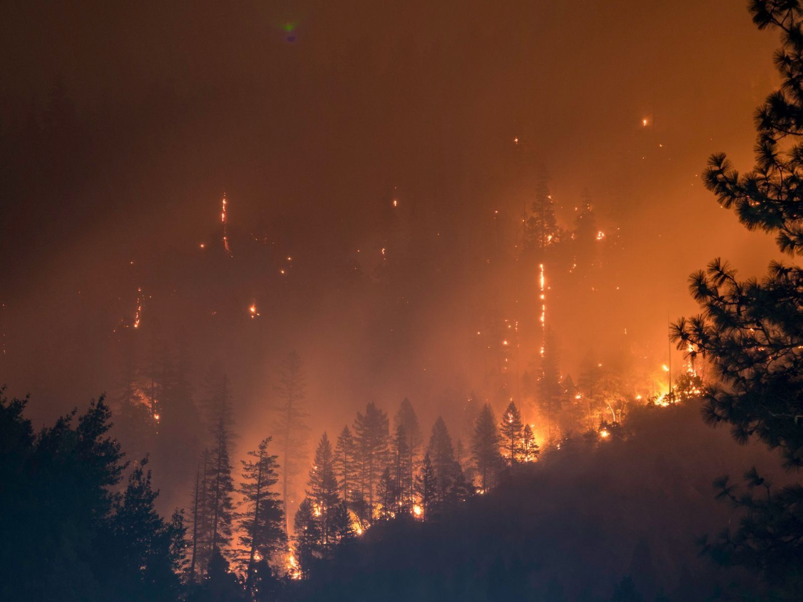 Best Natural Disaster Movies Ever Made, Unsplash
