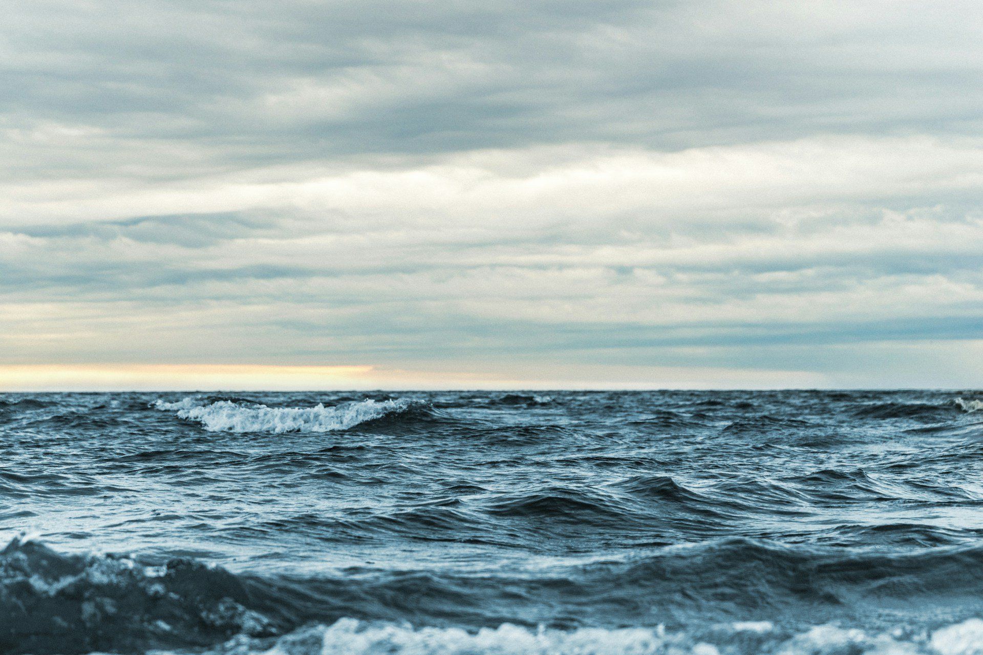 best ocean documentaries