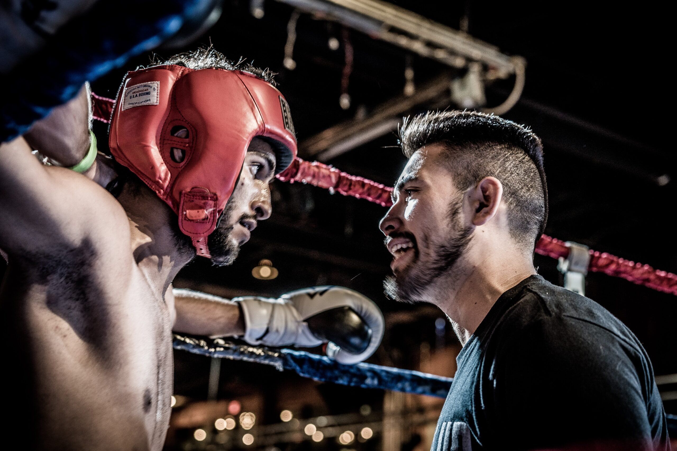 10 Best MMA Movies That Will Make You Want to Fight
