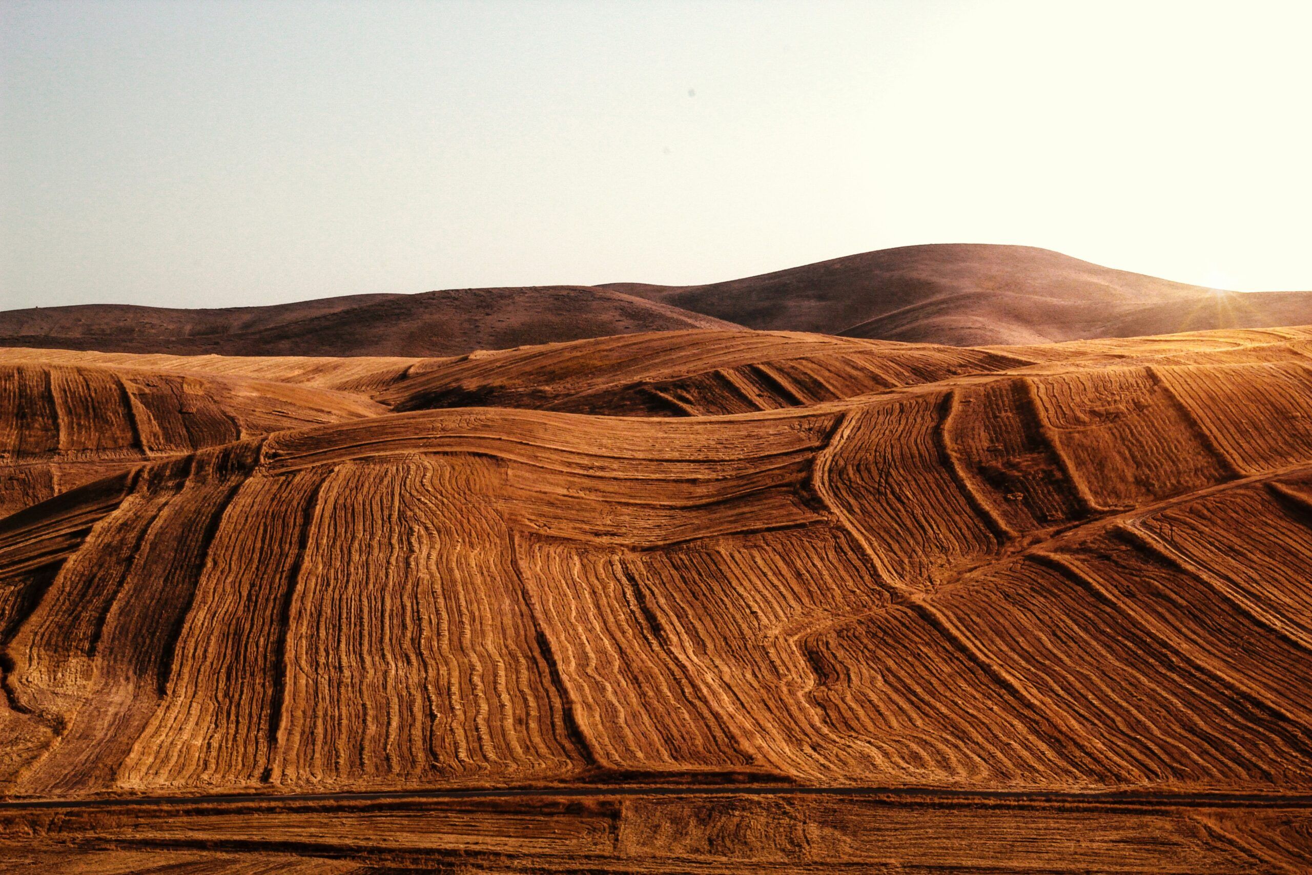 The best movies set in the desert.