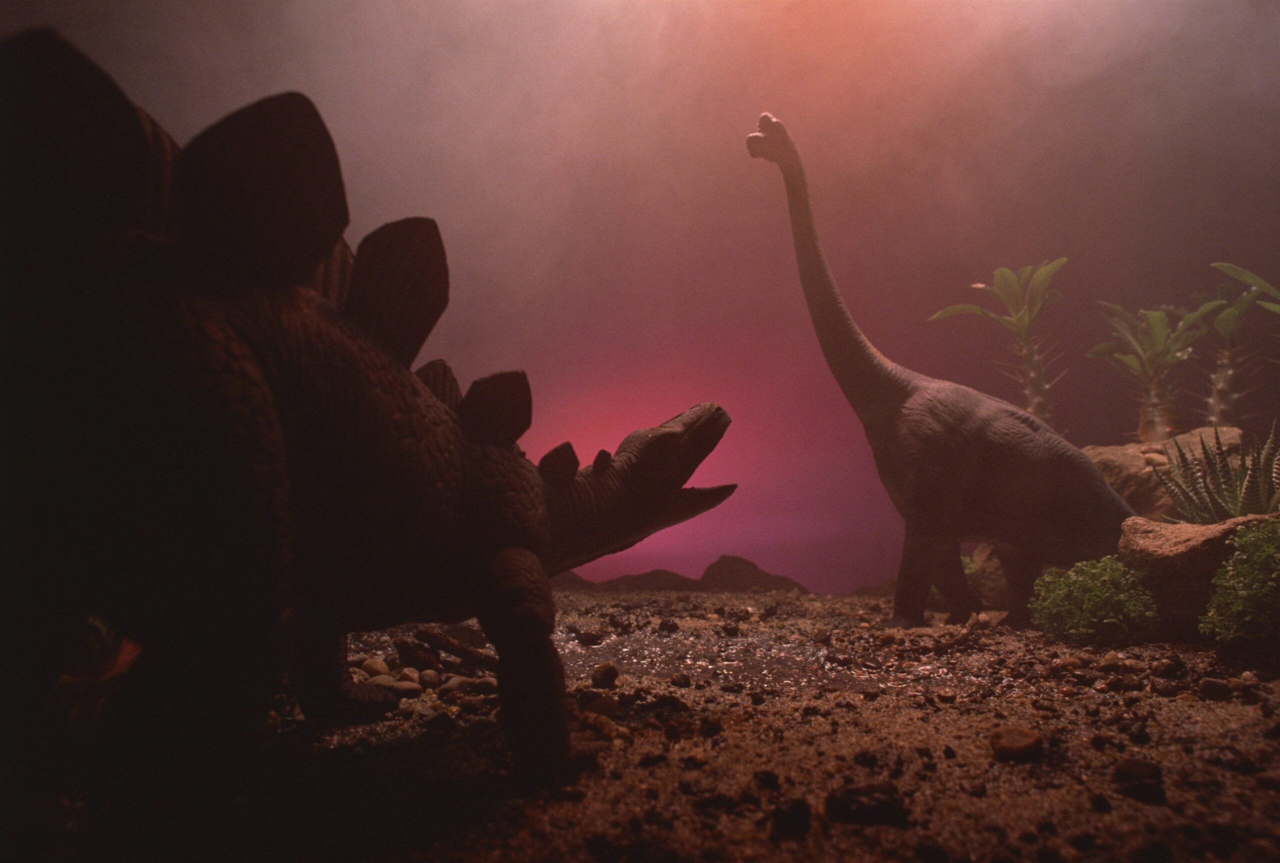 Two different species of dinosaurs.