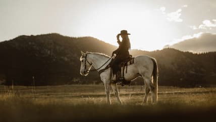Best Movies About Cowboys, Unsplash