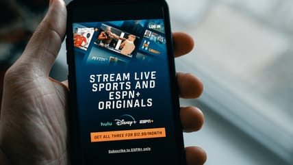 15 Best Documentaries On Disney Plus: Explore The World Through The Screen
