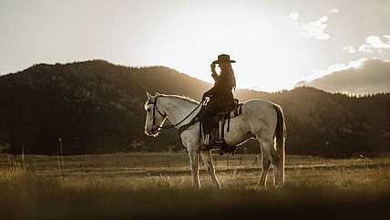Best Movies About Cowboys, Unsplash
