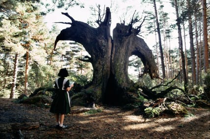 Best-Movies-For-Liberals-Streaming-This-Month