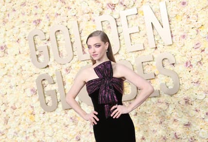 Entertainment: Entertainment: 81St Annual Golden Globe Awards: Best Amanda Seyfried Movies