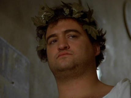7 Movies Like Animal House For More Rowdy Fun 11 Movies Like Animal House, Universal Pictures