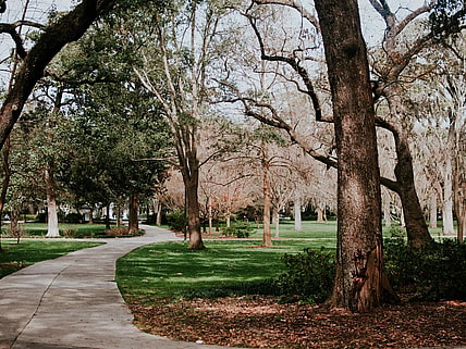 Movies Filmed In Savannah Ga, Unsplash