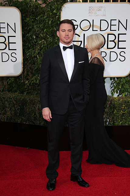 Movies Like She'S The Man, Entertainment: 73Rd Golden Globe Awards