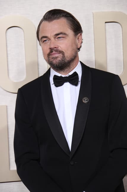 Best Movies About Being An Actor, Entertainment: Entertainment: 81St Annual Golden Globe Awards