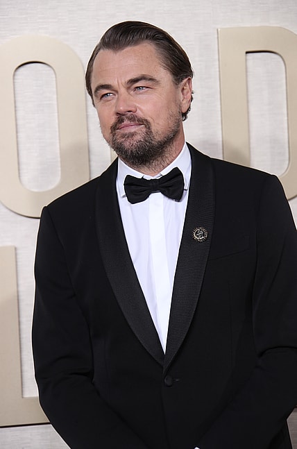 Best Movies About Being An Actor, Entertainment: Entertainment: 81St Annual Golden Globe Awards