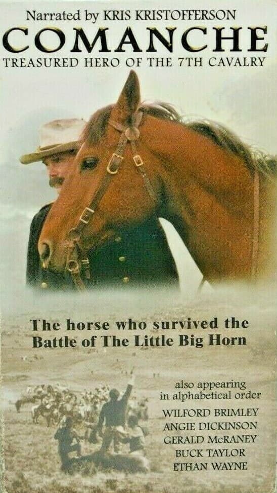 20 Best Horse Movies Of All Time And Where To Stream Them 20 20 Best Horse Movies Of All Time And Where To Stream Them
