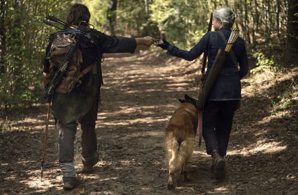 19 Best Episodes Of Daryl In The Walking Dead 3 Best Episodes Of Daryl In The Walking Dead Credit Imdb