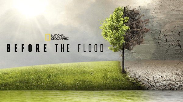 15 Best Documentaries On Disney Plus: Explore The World Through The Screen 14 Best Documentaries On Disney Plus: Before The Flood