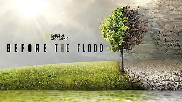 15 Best Documentaries On Disney Plus: Explore The World Through The Screen 14 Best Documentaries On Disney Plus: Before The Flood