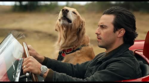 10 Best Movies Like Ford V Ferrari 7 Best Movies Like Ford V Ferrari: The Art Of Racing In The Rain