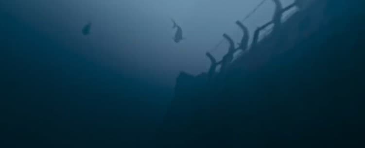 5 Best Shark Movies On Netflix 6 5 Best Shark Movies On Netflix