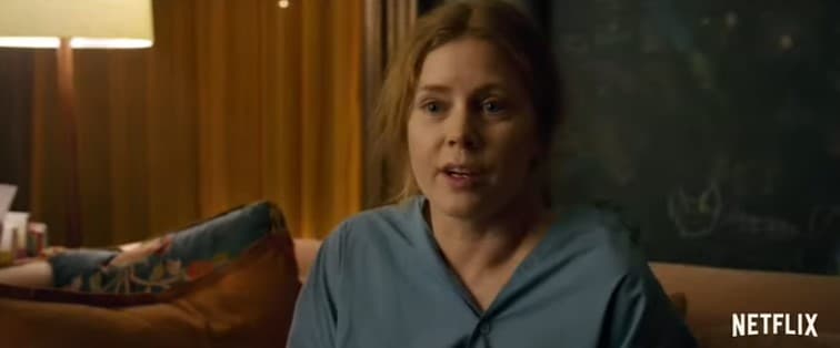 The Woman In The Window, Netflix