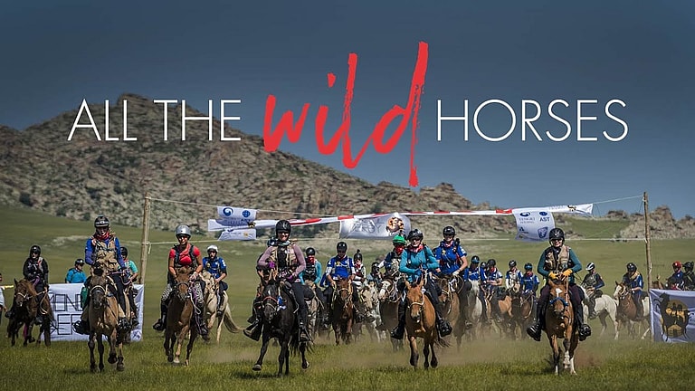 All The Wild Horses Movie