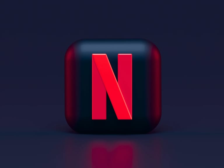 Netflix Password Crack Down