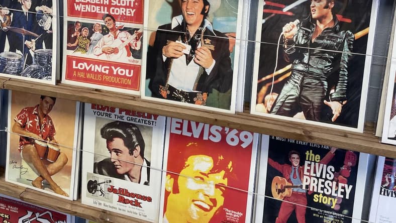 20 Best Elvis Movies And Where To Watch Them 2 Best Elvis Movies And Where To Watch Them