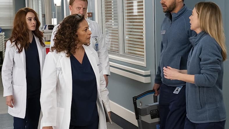Why Has Greys Anatomy Lasted For So Long? 19 Gripping Seasons Later 2 Why Has Greys Anatomy Lasted For So Long? 19 Gripping Seasons Later