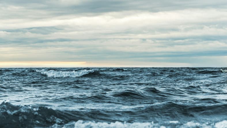 15 Best Ocean Documentaries 2 Best Ocean Documentaries