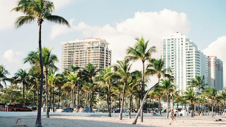 5 Best Movies Set In Miami 2 Best Movies Set In Miami
