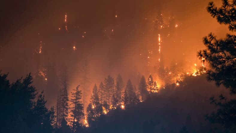 Best Natural Disaster Movies Ever Made, Unsplash