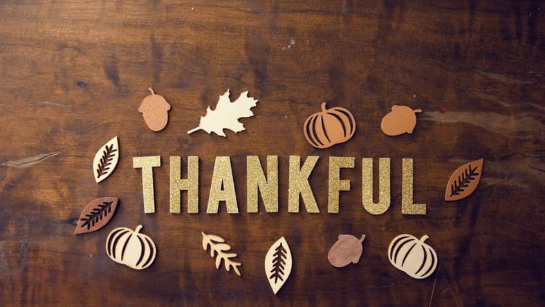 15 Best Thanksgiving Movies Streaming Right Now 2 Best Thanksgiving Movies, Unsplash